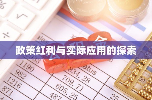 大连政策红利与实际应用的探索