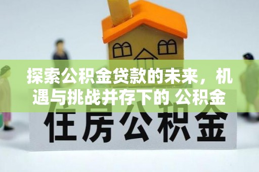 大连探索公积金贷款的未来，机遇与挑战并存下的 公积金贷款风险防控