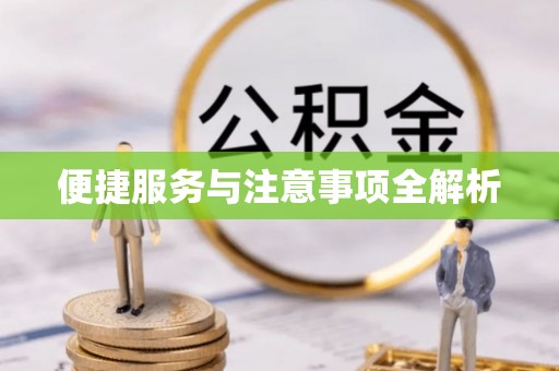 大连便捷服务与注意事项全解析