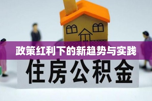 大连政策红利下的新趋势与实践